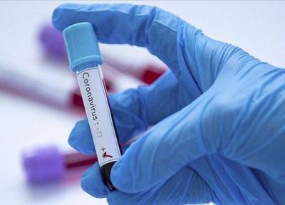تعداد مبتلایان به ویروس کرونا در عربستان نیز افزایش یافت