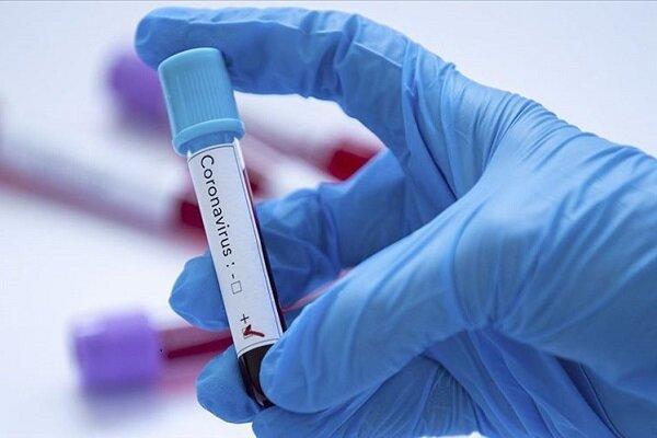 تعداد مبتلایان به ویروس کرونا در عربستان نیز افزایش یافت