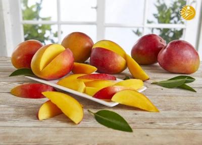 خواص انبه؛ میوه گرمسیری برای کاهش قند خون و تقویت کننده سلامت مغز