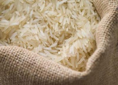 نماینده ساری: گرانی برنج غیر منطقی است