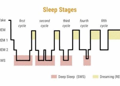 مرحله خواب موج آهسته چیست و چه نقشی در سلامتی دارد و چطور می توان آن را افزایش داد؟